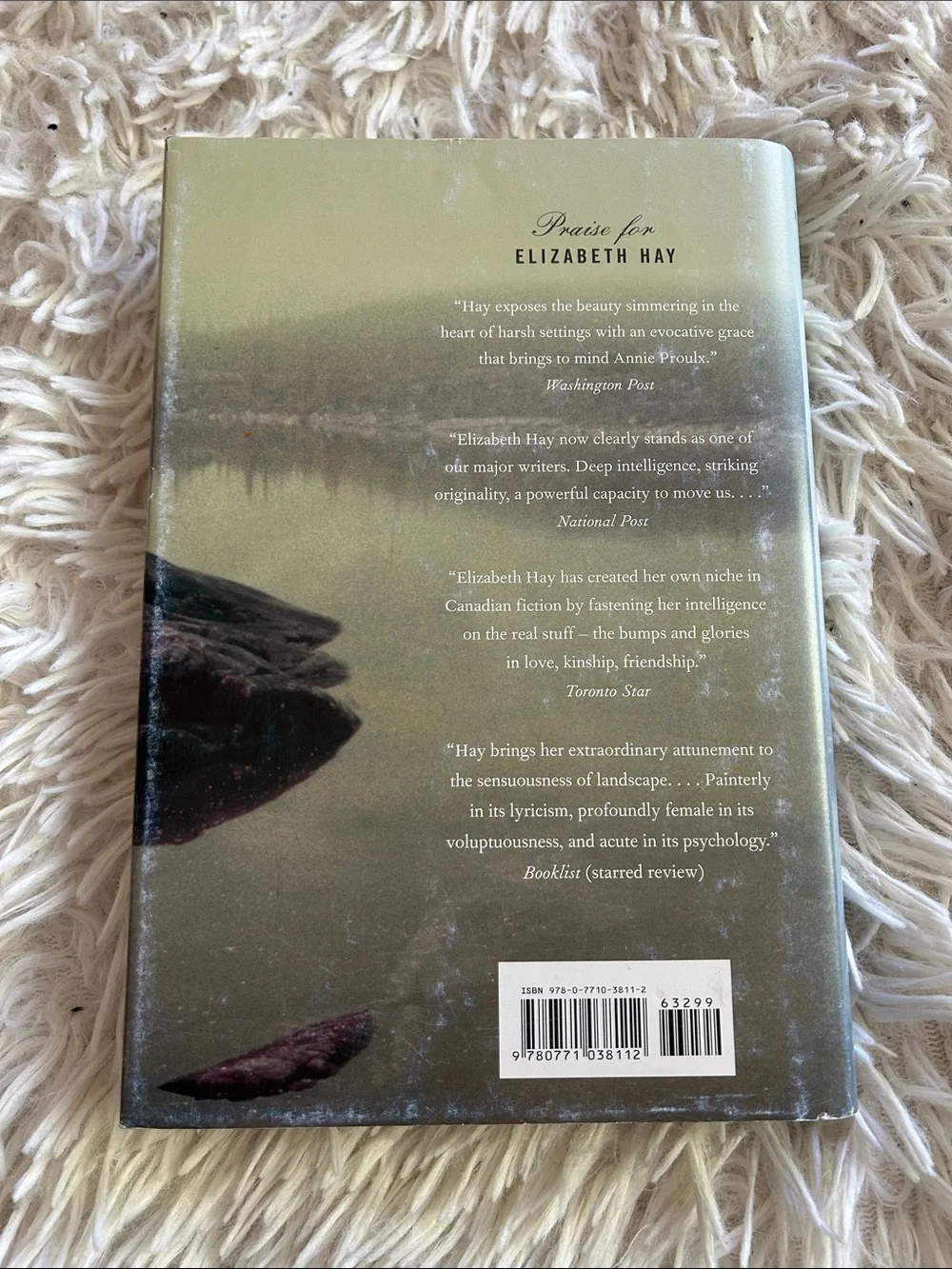 Elizabeth Hay "Late Nights on Air" — Green Cover with Red Accents - Picture 2 of 5
